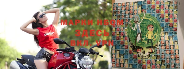 мдпв Верхний Тагил